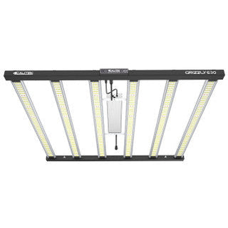 LED