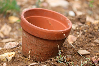 Pots & plateaux