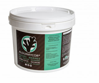 Alguamycor 2kg pour 200l substrat