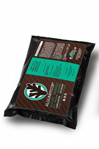 Alguamycor 1kg pour 100l substrat