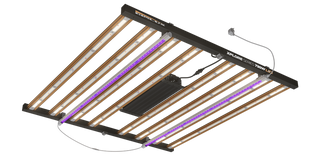 DimLux Xplore Series NIR + UV add on 2x25w LED