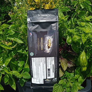 Insect frass Guano d'insectes 500gr