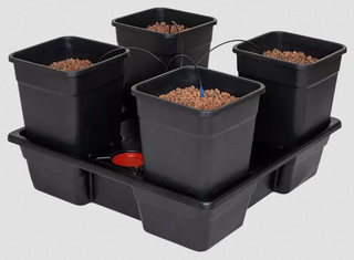 Wilma 4 complet XL (4x25l)