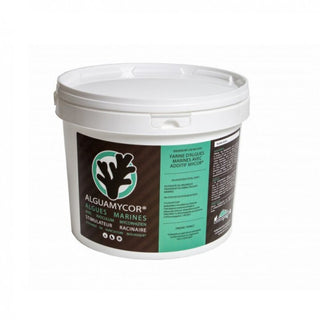 Alguamycor 3kg  pour 300l de terre