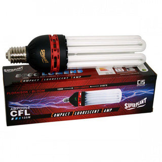 CFL 125w floraison 2100K Superplant