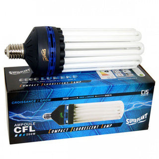 CFL 200w croissance 6400k Superplant