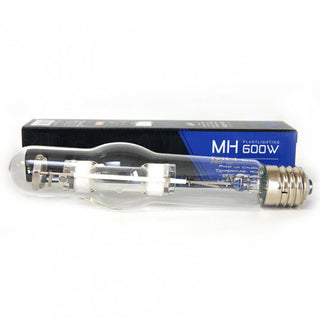 Superplant Superblue 600w MH