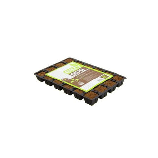 Eazyplug CT24