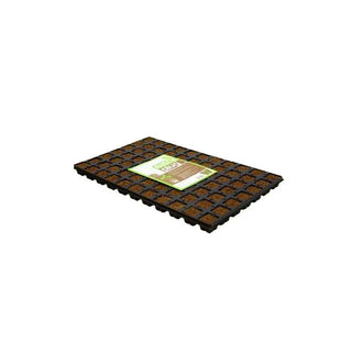 Eazyplug plaquette CT77