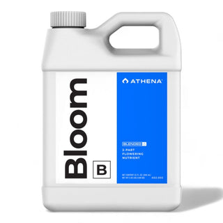 Athena Bloom B 3.78l