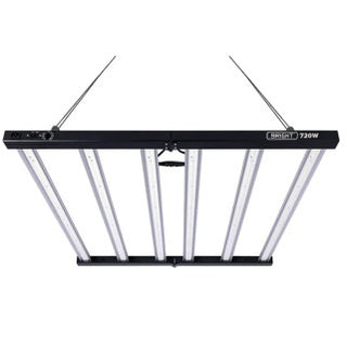 Bright led 720w