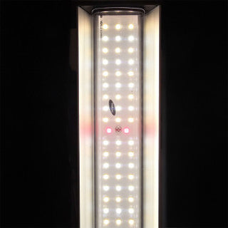 Bright led 720w