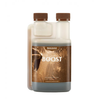 BioCanna Bioboost 250ml