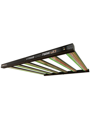Xtreme series 750w Dimlux