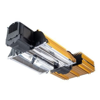 Expert 1000w DE Dimlux