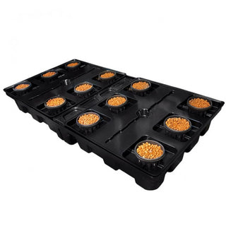 DWC Pro 12 plantes 250l