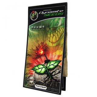 Platinium Dynamite Seeds