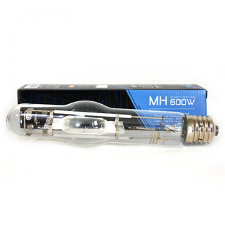 600w MH Superplant