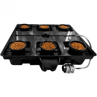 DWC Pro 6 plantes 90l