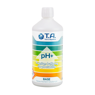 T.A ph + 1l